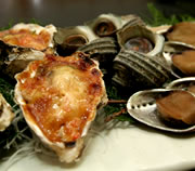 �����Y�L�����ˏđ�