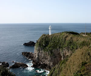 �������E����������