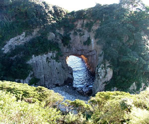 ���R����