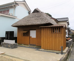 �W���������Y���a�n